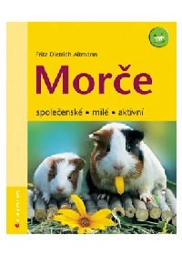 716593