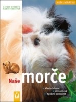 nase_morce